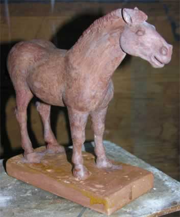 Icelandic Pony